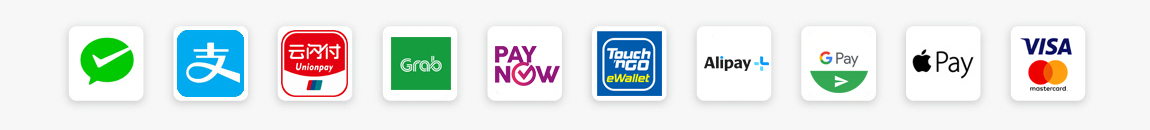 PayNow, Alipay, WeChat Pay, Grab Pay, Shopee, Touch& Go